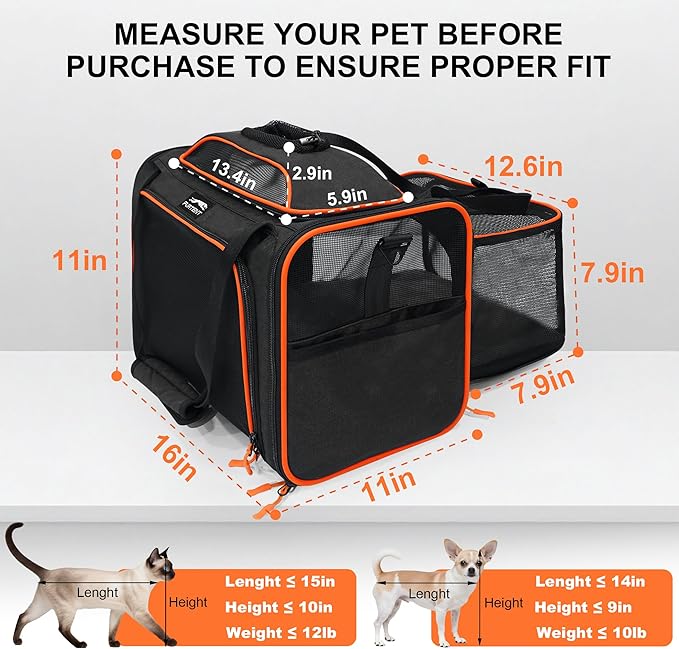 TSA Approved Expandable Cat Carrier with Top and Side, 16x11x11 Soft-Sided Pet Carrier for Small Cats and Dogs, Foldable Travel Carrier with Anti-Scratch Mesh and Safety Belt, Black