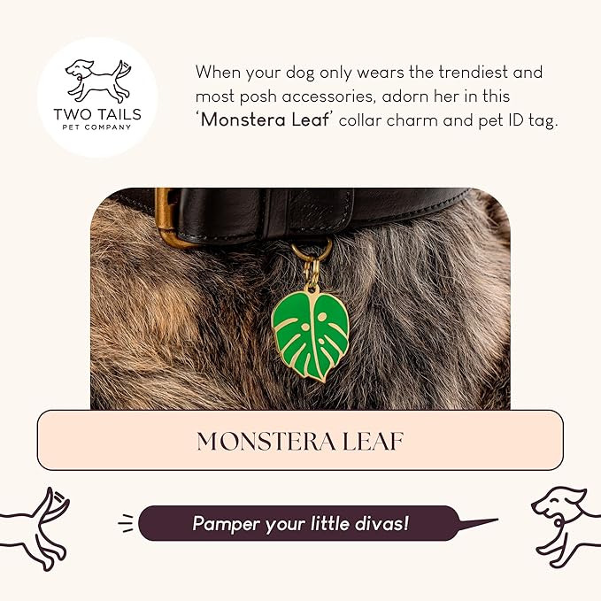 Two Tails Pet Company Personalized 'Monstera Leaf' Pet ID Tag & Collar Charm - Custom Engraved Dog Tags for Pets - Luxury Brass, Gold Plating