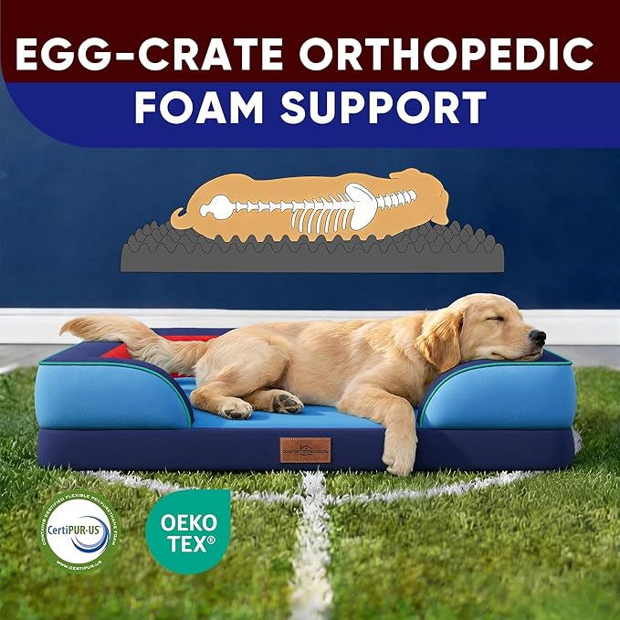 Comfort Expression Orthopedic Dog Bed for Extra Large Dogs 42x30 Inch, Waterproof Egg Crate Foam XL Pet Bed with Removable Bolsters, Dog Couch with Washable Cover & Non-Slip Bottom, Philadelphia