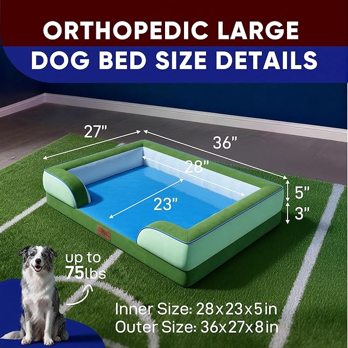 Comfort Expression Orthopedic Dog Bed for Large Dogs 36x27 Inch, Waterproof Egg Crate Foam Large Pet Bed with Removable Bolsters, Dog Couch with Washable Cover & Non-Slip Bottom, Boston