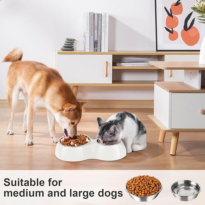 Elevated Dog Bowls Set - Non-Slip Raised Pet Feeder with Medium (10 oz) & Large (20 oz) Stainless Steel Bowls - Includes Durable Resin Stand for Corgi Puppies and Adult Cats - White