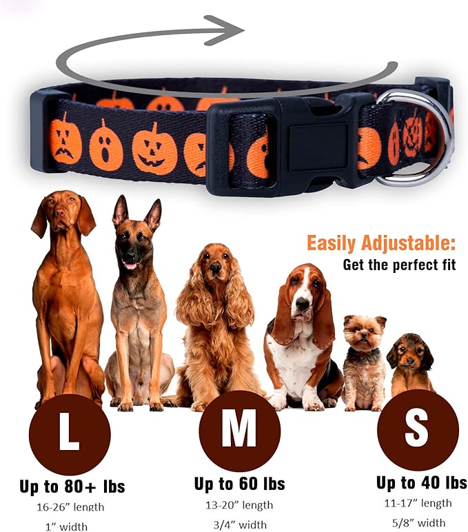 Native Pup Halloween Dog Collar- Spooky Fall Themed Horror Costume Collars- Skull, Pumpkin, Ghost, Bat, Witch, Candy Corn, Spider- Adjustable for Small, Medium, Large Breeds (Medium, Big Pumpkins)