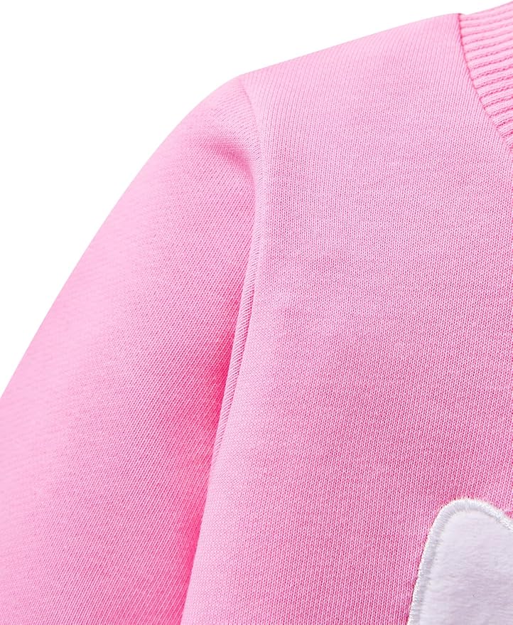 Toddler Baby Girls Cotton Sweater, Long Sleeve Crewneck Sweatshirt Pullover Kids Warm Clothing for Fall Winter
