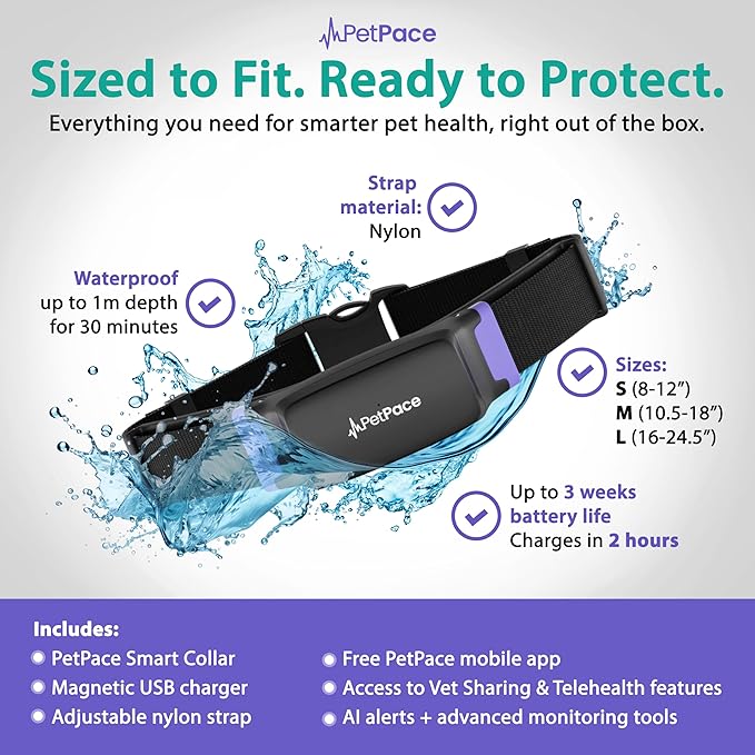 V3.0 Dog Health Monitor – AI Health Collar with 24/7 Vital Signs Tracks Pain GPS, Telehealth AskaVet & Share with Your Vet & Apple Watch Sync – Subscription Required (Medium)