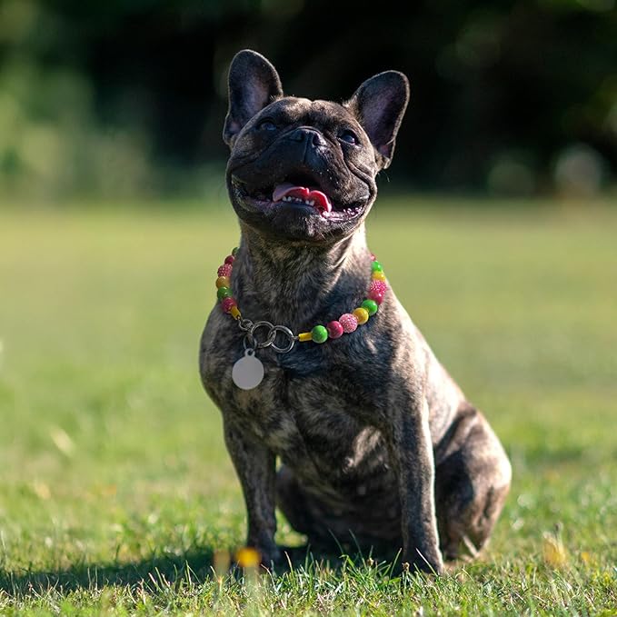 Beaded Dog Necklace Collar, Adjustable Jewelry-Inspired Design with Sparkle Beads (Vivid Tropics, Small)