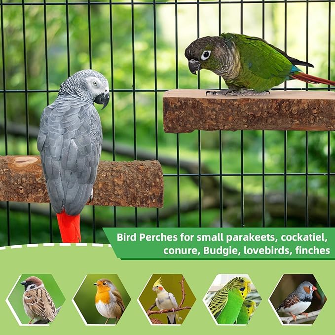 2PCS Natural Wood Bird Perch Platform for Cage - Parrot Perch Stand for Conures, Cockatiels, Budgies, Lovebirds, Parrotlets, Small Bird Cage Accessories & Wooden Perches for Small Parrots