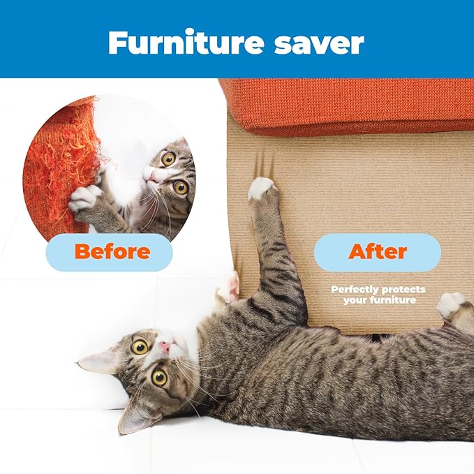 Best Pet Supplies Catify Cat Scratcher, Fun Interactive Scratchers, Posts, Poles, Claw Safe, Furniture Saver Indoor Play Support Natural Cat Behaviors Heavy Duty - Beige (39.4 x 15.8)