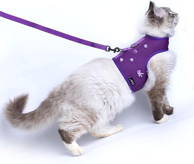 Cat Harness and Leash for Walking Escape Proof Breathable Mesh Fabric, Purple, Large, Adjustable Cat Walking Jackets with DIY Beads, Padded Stylish Cat Vest