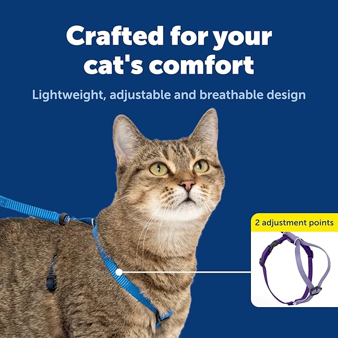 PetSafe Come with Me Kitty Cat Harness & Bungee Leash - Comfortable Cat Harness with Lightweight Bungee Leash for Outdoor Fun - More Secure Walks - Large - Royal Blue