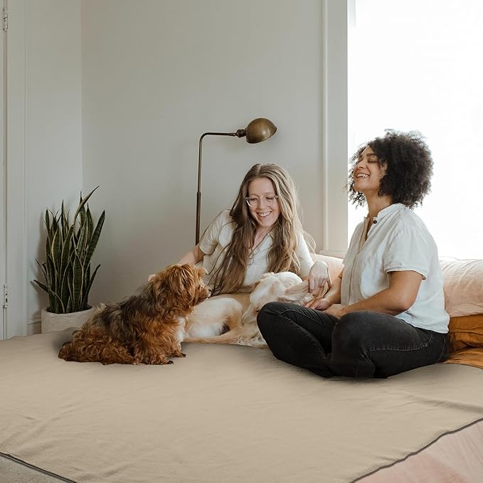 Fleece Throw Blankets Bulk Fleece Blankets Solid Wholesale Lightweight Warm Soft for Pet Bed Sofa Couch Office Wedding Gifts Travel Seasons Beige and Black 50x60 Inches Pack of 6