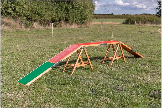 Trixie Dog Agility Walk and Ramps – Dog Obstacle Training Equipment Training Equipment for Indoor and Outdoor Use – 179.5 × 11.8 × 25.2 in