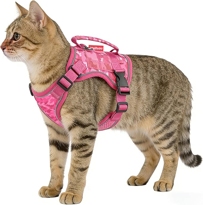 Dog Harness and Leash Set, Small Sized No Pull Pet Harness with Control Handle, Adjustable Tactical Harness for Small Medium Dogs Cats, Reflective Puppy Harness for Walking Hiking Training