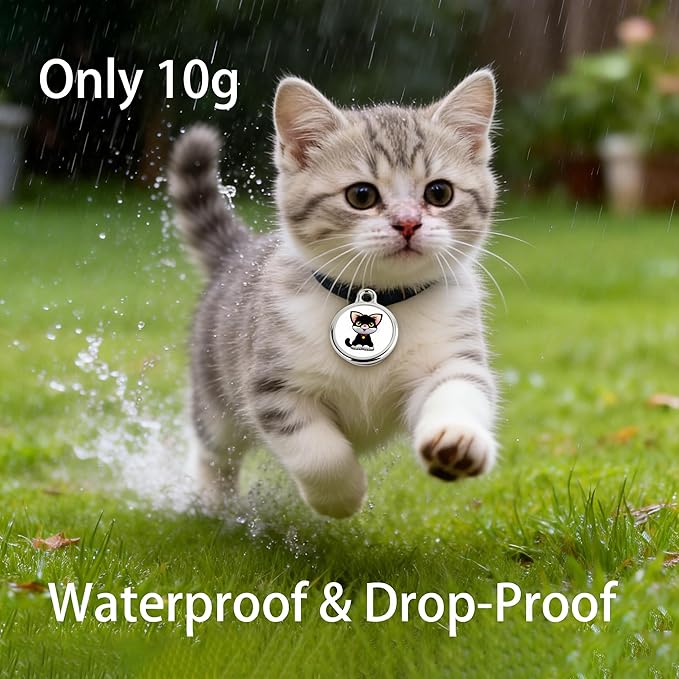 GPS Pet Tracker with Apple Find My Network, Android Compatibility, Real-Time Location Tracking, Water-Resistant (DINGWEIQI02)