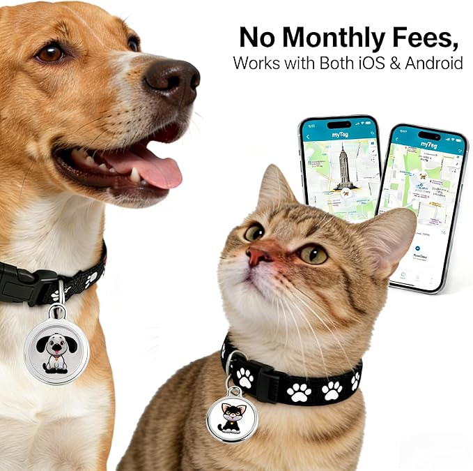 GPS Pet Tracker with Apple Find My Network, Android Compatibility, Real-Time Location Tracking, Water-Resistant (DINGWEIQI02)