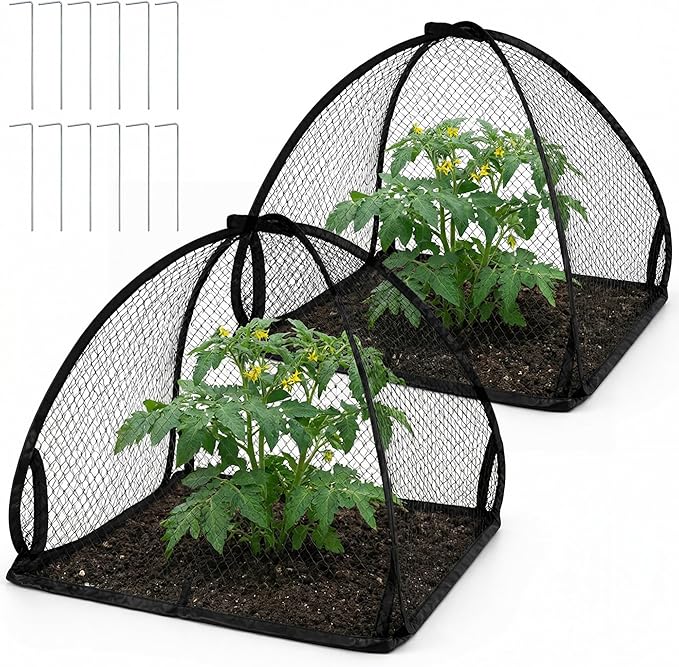 DECOHS 2 Pcs Pop-Up Mesh Plant Cover Tent, 22 x 22 x 22 Inch Garden Net Cage Guard Cover, Plant Protector Enclosure with 12 Ground Stakes for Protecting Plants Vegetable Fruit from Birds Insects