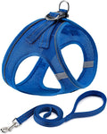 BOOMIBOO Dog Harness with Leash Set, No Pull Adjustable Reflective Step-in Puppy Pet Vest Harnesses for Small Medium Large Dogs and Cats,Blue M