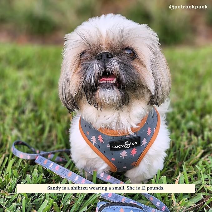 Lucy & Co. Take a Hike Reversible Dog Harness - Best Designer Pet Harnesses for XS - XL Dogs - Padded Adjustable Vest for Easy Walking (X-Small, Neutral Brown Plaid with Blue Trees)