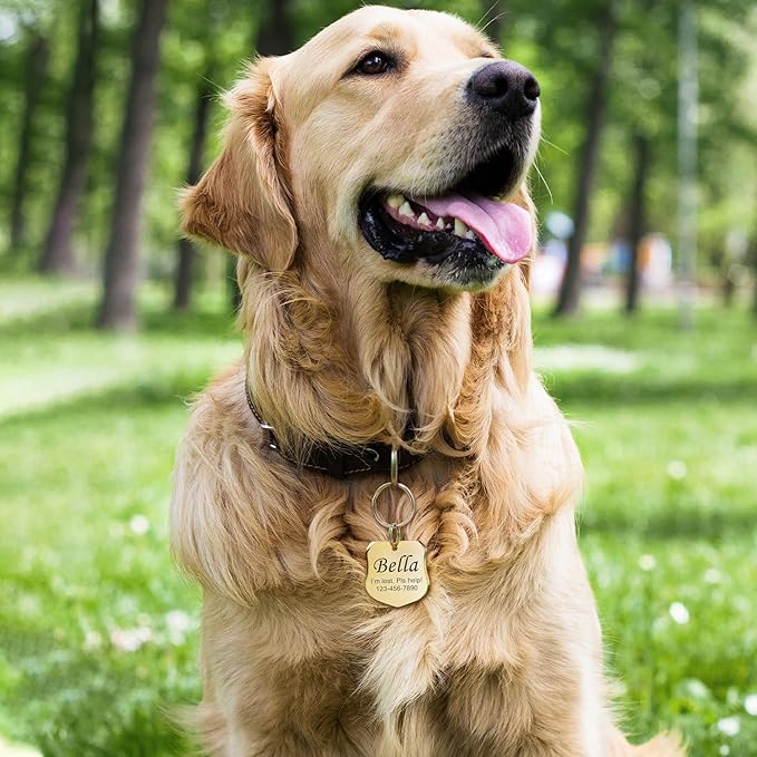 Anavia Personalized Pet ID Tags, Stainless Steel Glossy Laser Engraved Dog Cat Collar Name Tags, Multiple Colors Shapes Sizes (Badge, Small)