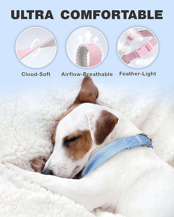 Dynmeow Soft and Breathable Cotton Dog Collar, Durable Adjustable Boy Pet Collar with Quick-Release Buckle, Lightweight for Sensitive Skin for Small and Medium Dogs, Light-Blue, S