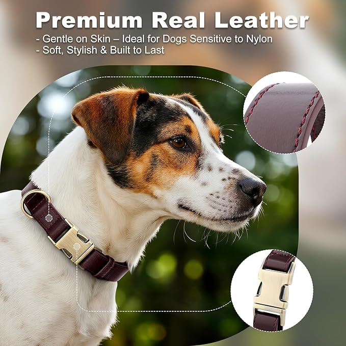 Plutus Pet Genuine Leather Dog Collar – Adjustable Pet Collar with Quick Release Metal Buckle, Soft Real Leather for Small Medium Large Dogs, Heavy Duty & Skin-Friendly (Copper Brown, XS)