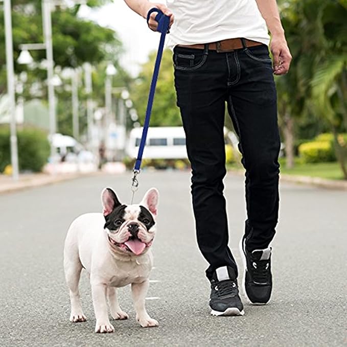 Long Dog Puppy Obedience Recall Training Agility Lead, Leash - BLUE, 15' Foot - by, Downtown Pet Supply