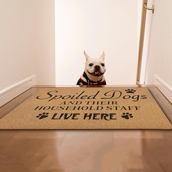 Funny Spoiled Dog Door Mats, Dog Mat for Home Outside Entryway, Funny Welcome Front Door Mat Indoor Outdoor Entrance, Artificial Coir Doormat Rugs for Patio Entry Kitchen Decor, 17x30 Inch