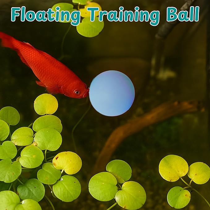 Betta Mirror Enrichment Fish Toys Stimulation, 2 pcs Exercise Feeding Rings And Training Mirror With Floating Ball Toy, Betta Fish Tank Accessories, Small Aquarium Tank Decoration (Orange, M)