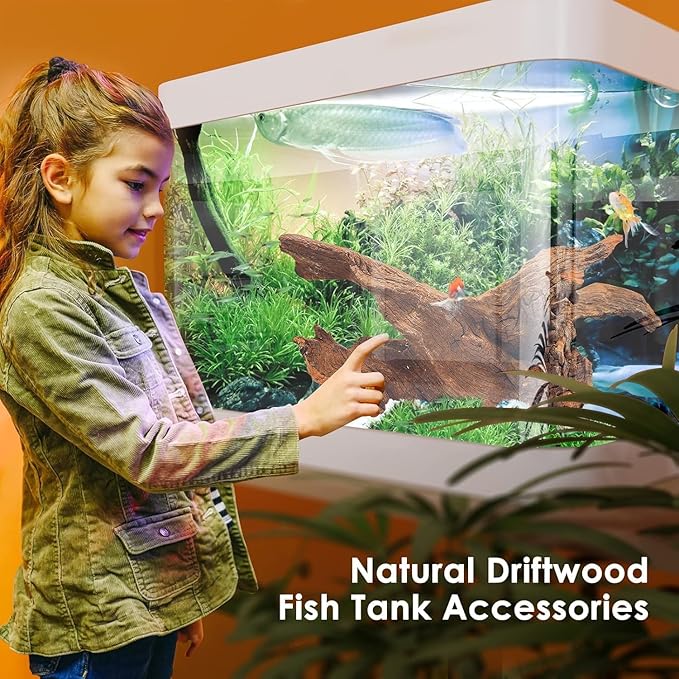 Jorewood Natural Small Aquarium Driftwood for Fish Tanks & Reptile Terrariums – Safe Fish Tank Decorations, Unique Twisted Branches 10-Piece 2-4 Inch Low Tannin, Easy to Sink