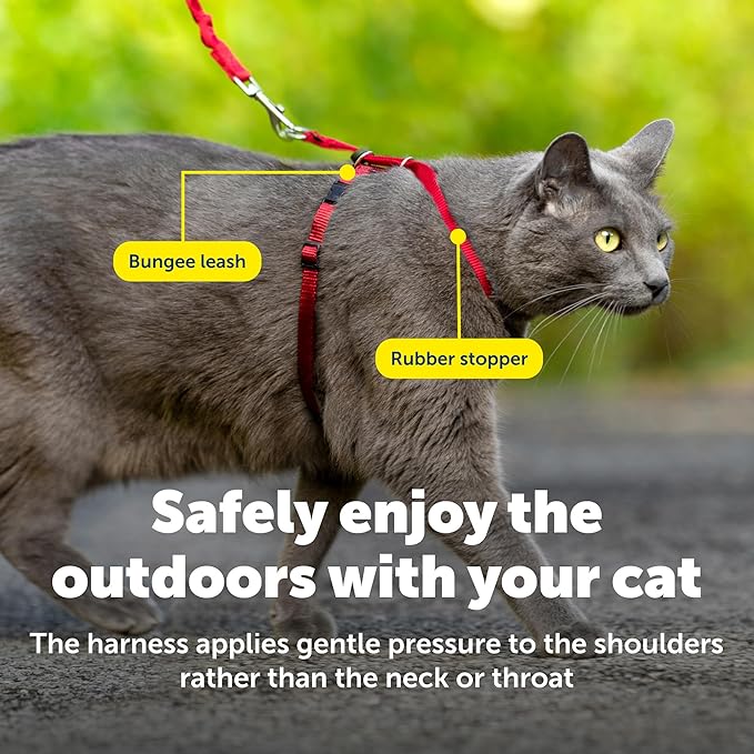 PetSafe Come With Me Kitty Cat Harness & Bungee Leash - Comfortable Cat Harness with Lightweight Bungee Leash for Outdoor Fun - More Secure Walks - Large - Red