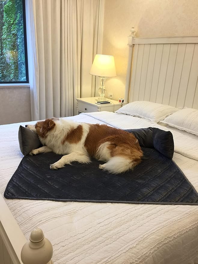Brilliant Sunshine Premium Calming Dog Bed Mat, Silky Velvet, Removable Washable Cover, Cushion Protector and Couch Covers for Dogs, Pets, Cats, Large, Grey