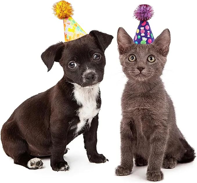 6pcs/Pack Mini Dog Party Hats for Small XS Cat Puppy Doggie Kitten Rabbit Stuffed Animals Birthday Holiday Party Grooming Accessories