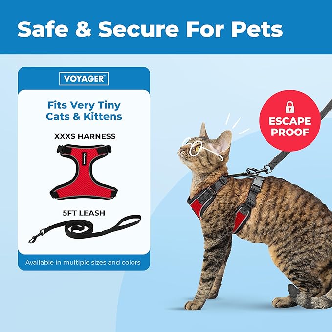 Voyager Escape-Proof Step-in Lock Cat Harness & 5ft Neoprene-Handle Leash Set All-Weather Mesh with Reflective Stitching for Small to Large Cats by Best Pet Supplies, Black Trim-Red (327), XXXS