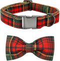 Dog Collar - Thanksgiving Turkey Dog Collar Bowtie Gift Puppy Soft Bow Adjustable Metal Buckle Pet Collar for X-Small Dogs