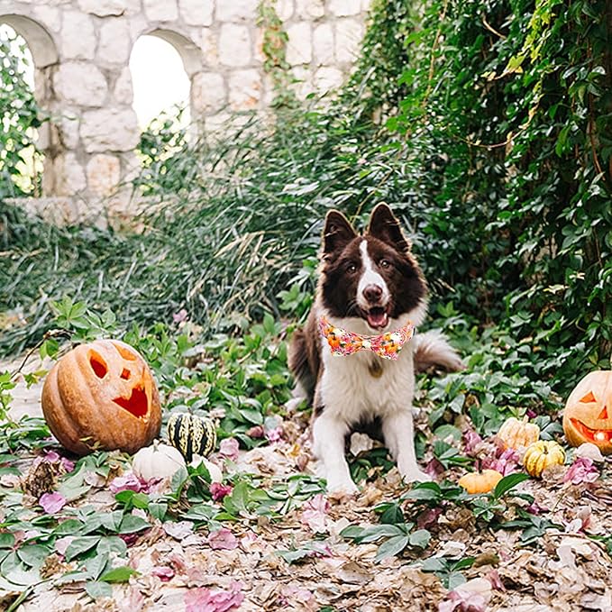 Fall Dog Collar, Pink Flower Pumpkin Print Adjustable Pet Collar Cute Cotton Soft Collars with Bow Tie Metal Buckle Holiday Puppy Collars Boy&Girl Gift for X-Small Dogs