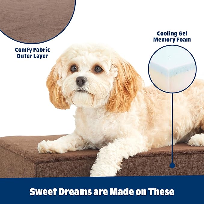 Barkbox Orthopedic Dog Bed with Memory Foam, Premium Comfort for Dogs and Puppies, Dog Bed for Joint Relief and Restful Sleep, Durable and Easy to Clean - Espresso, Medium