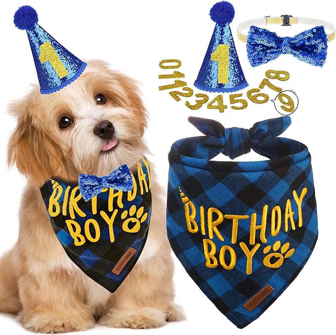 EXPAWLORER Dog Birthday Party Supplies - Dog Birthday Bandana Scarf and Party Hat with Numbers Boy Girl Pet Bow Tie, Cute Outfit for Small Medium Large Dogs (Small)