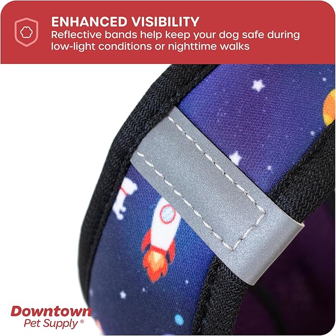 Downtown Pet Supply Step-in Dog Harness – No Pull, Adjustable Padded Mesh with Reflective Trim, Secure Buckle Strap – Comfortable & Breathable Small Dog Harness, Small, Space