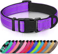 Joytale Reflective Dog Collar, Soft Neoprene Padded, Metal D-Ring, Nylon Pet Collar Adjustable for Extra Large Dogs, Purple, XL