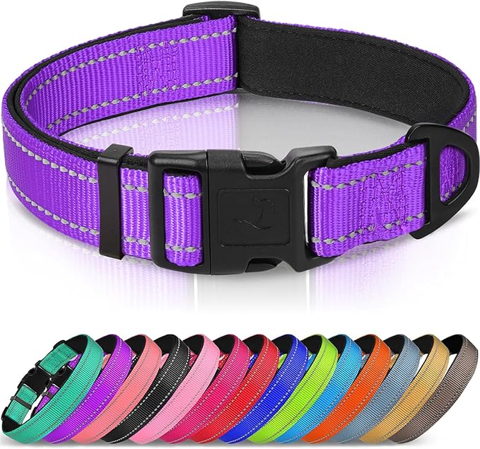 Joytale Reflective Dog Collar,Soft Neoprene Padded Breathable Nylon Pet Collar Adjustable for Large Dogs,Purple,L