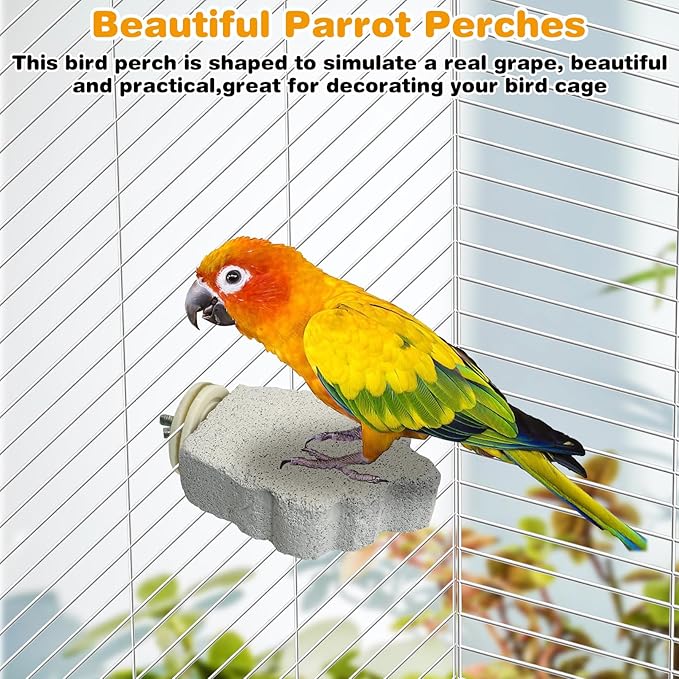 PINVNBY 4 PCS Bird Perches Calcium Parrot Perch Stand Bird Beak Grinding Stone Foot Claws Trimmer Parrot Chewing Toys Bird Cage Accessories for Budgie Cockatiel Conure Lovebird Finch