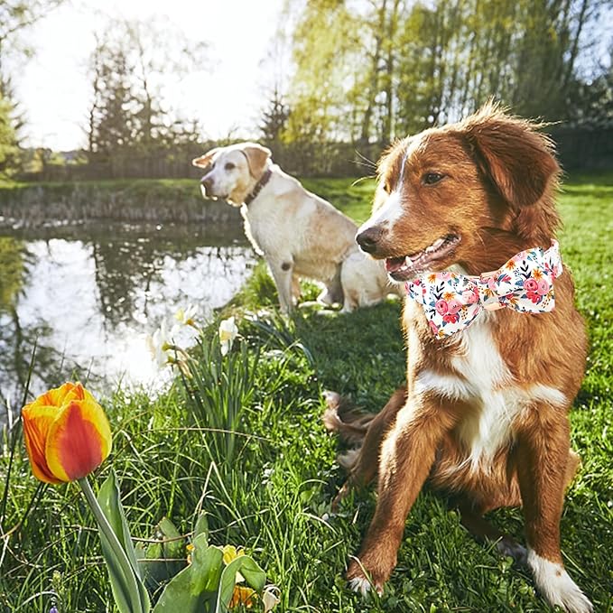 Lionheart glory Dog Collar Bow Collar Floral Dog Collar with Bow Tie Spring Summer Cute Collar Dog Boy or Girl Dog Collars Soft Durable Adjustable Dog Collars for Small Dogs