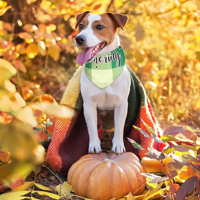 Sweetude 100 Pcs Fall Dog Bandanas Bulk Plaid Bandanas for Dog Autumn Thanksgiving Pet Scarf Bibs Adjustable Triangle Kerchief Grooming Supplies Pet Costume for Small Medium Large