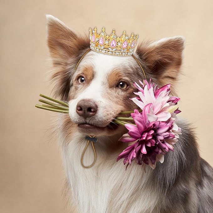 Abbylike Pet Rhinestone King Crown, Queen Crown for Birthday New Year Costume for Small Dog Cat Cosplay Party Accessories Adoption Celebration Wedding Birthday Photos Prop Costume(Pink,Medium)