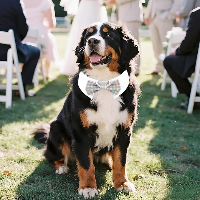 Segarty Dog Bow Tie Neck Girth 16.5-21.2in, Adjustable Blue Khaki Plaid Bowtie Collar for Extra Large Dogs, Pet Necktie Tuxedo Comfortable Cotton Grooming Accessory for Formal Wedding Holiday Birthday