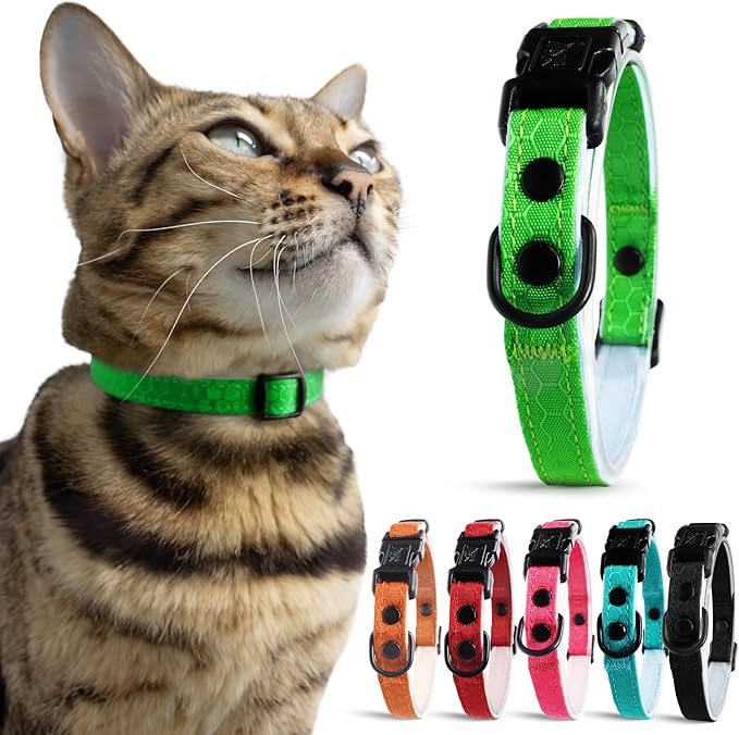OutdoorBengal Green Breakaway Kitten Collar - Ultra Safe Quick Release Cat Collar for Small Kittens Under 6 Months – Soft-Padded, Lightweight, Adjustable, Thin and Comfortable, No Bell (Green, Kitten)