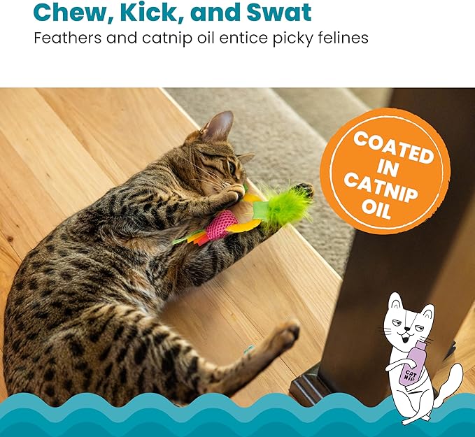 Catstages Dental Pineapple Teether – Chew Toy for Cats and Kittens – Textured Fabric and Mesh – Coated in Catnip Oil – Supports Teething Relief