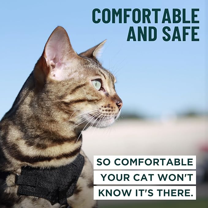 Houdini™ Escape Proof Kitten Harness and Leash Set by OutdoorBengal – Orange, Small Cat Harness for Walking