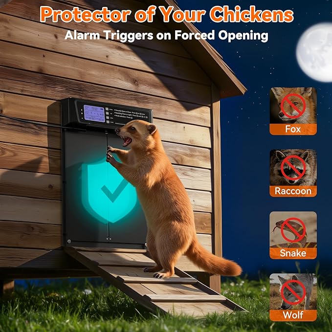 Automatic Chicken Coop Door Large Size, 7W Solar Powered with Timer & Light Sensor, Anti-Pinch Safety Chicken Door, Remote Control, Predator-Proof Aluminum Door for Poultry, Ducks & Chickens