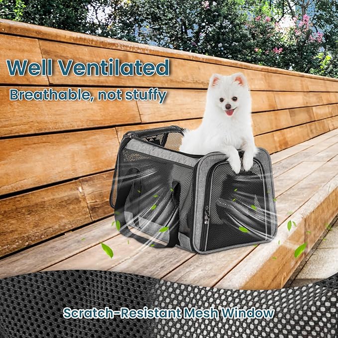 19 x 12 x 12 Large Cat Car Carrier – Roomy Escape-Proof Cat Car Seat for Safe Driving, Lockable Zippers & Safety Tether, Soft-Sided Travel Carrier for Road Trips & Vet Visits