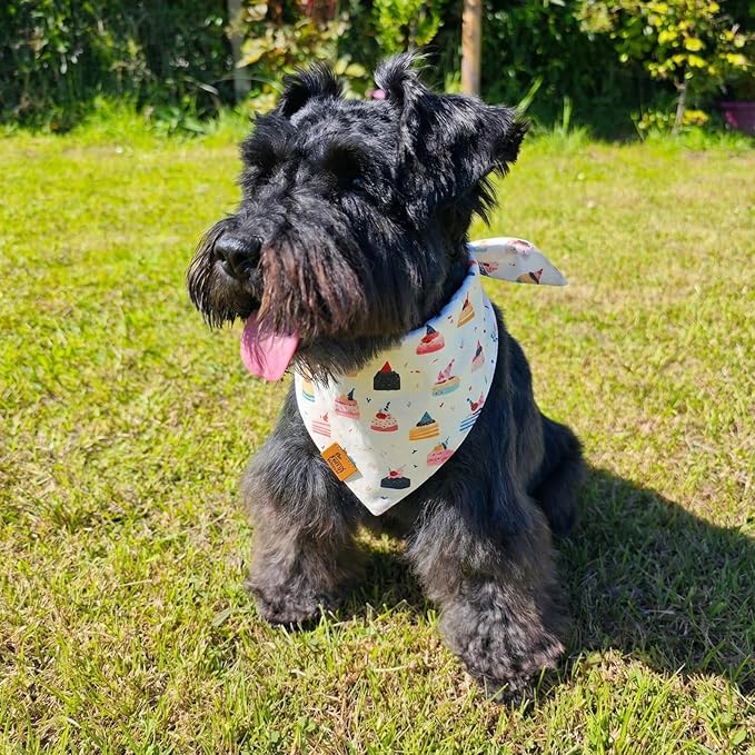 Birthday Dog Bandanas Medium Large, Colorful Cakes Stripes, Reversible Soft Breathable Adjustable Scarf for Small Medium Large Dogs Boy Girl Party Outfit Accessory FW5